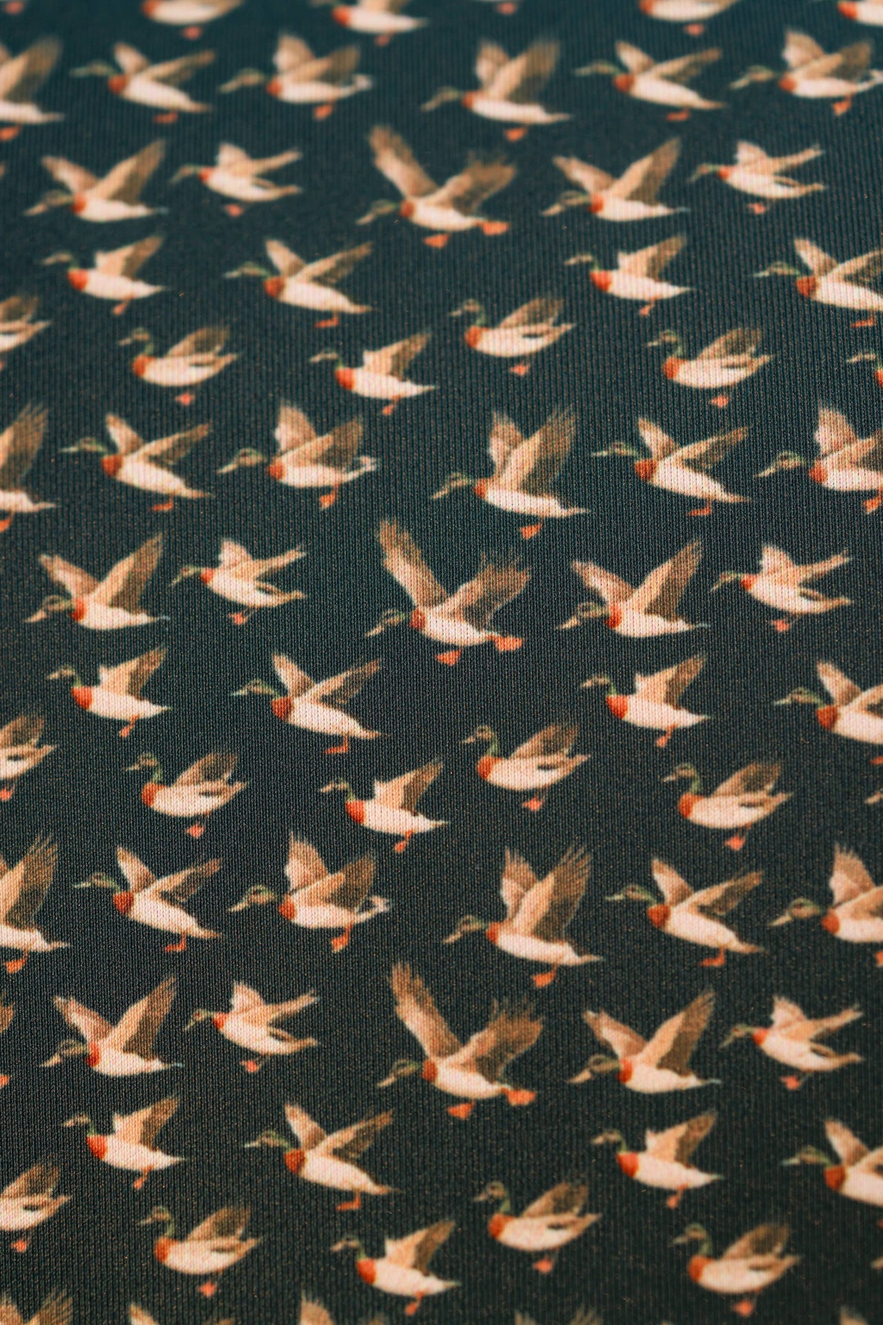 The Quack Polo