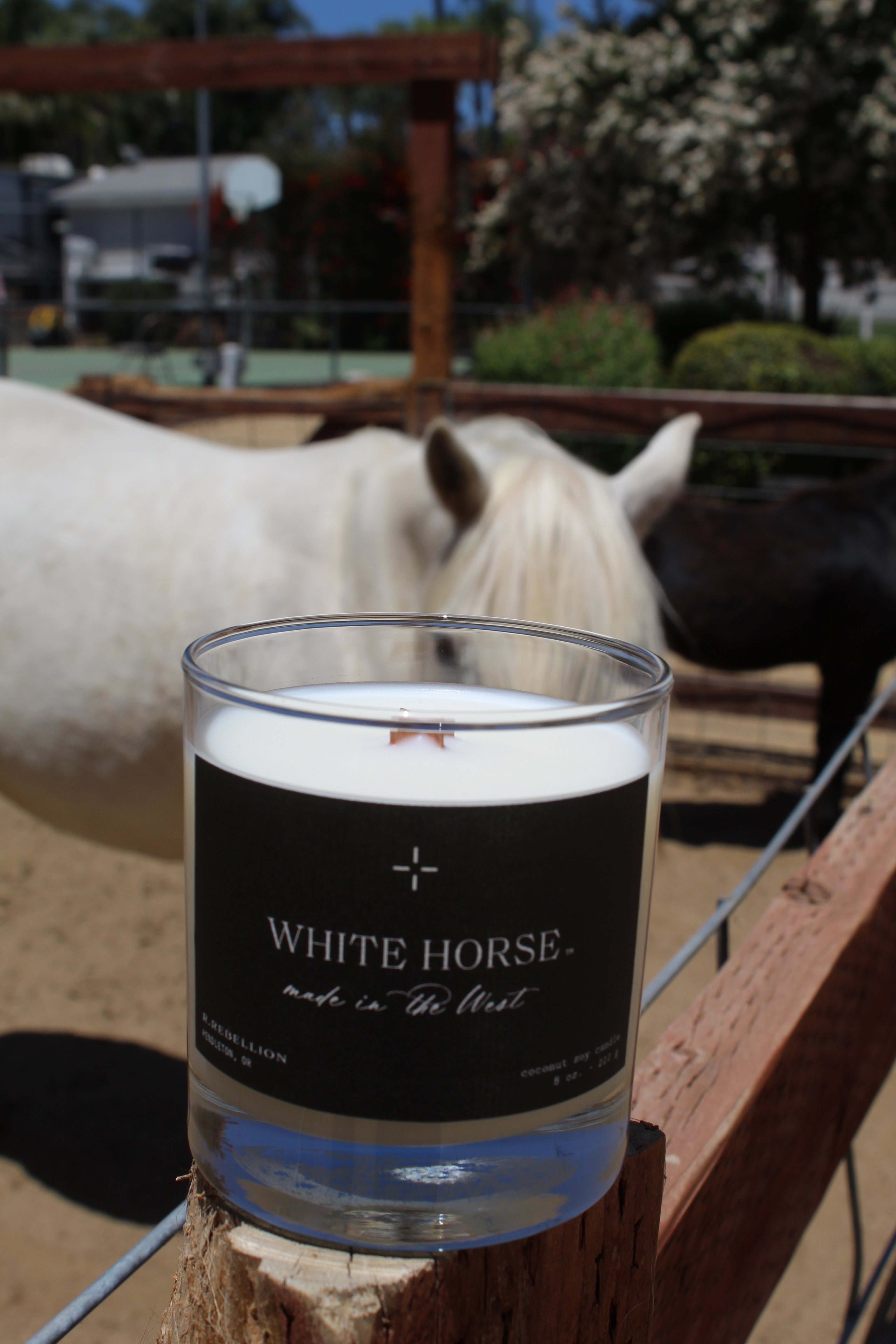 White Horse Candle 8 oz.